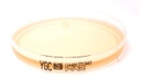 [V221690005] Agar plaatjes voor gisten en schimmels YGC 9cm - koker 20 stuks