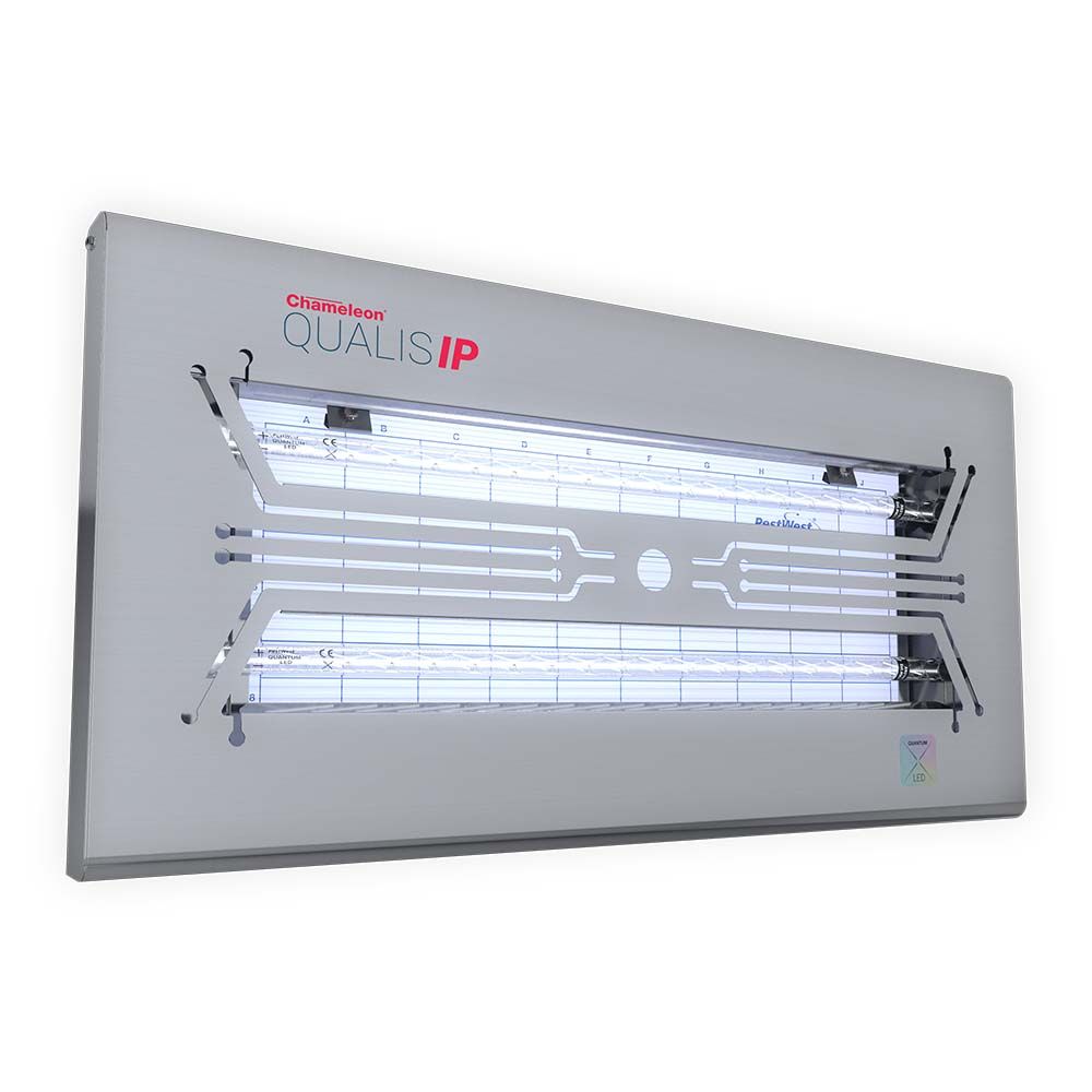 Chameleon Qualis LED SS IP66