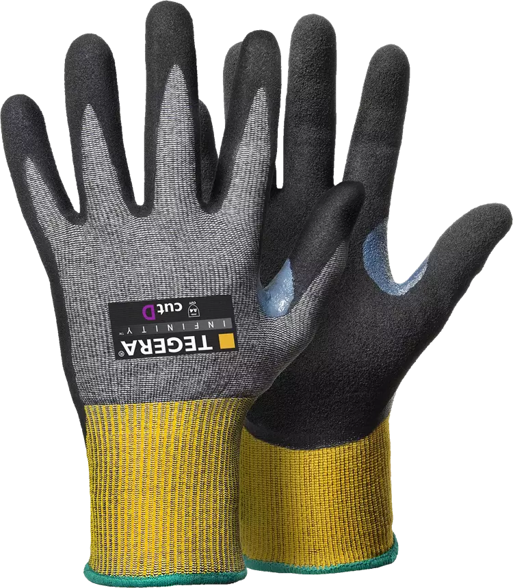 Tegera Infinity 8807R